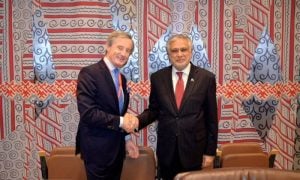 Pakistan, Austria, United Nations, Deputy Prime Minister, UN,