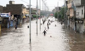 Pakistan, Punjab, Chief Minister, PMD, Monsoon Rain, PDMA,
