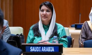 Saudi Arabia, Gaza, Israel, UN, France, Palestine, Two-State Solution, West Bank,