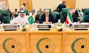 Pakistan, Deputy Prime Minister, Israel, OIC, Palestine, Saudi Arabia, United Nations,