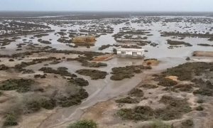 Delta