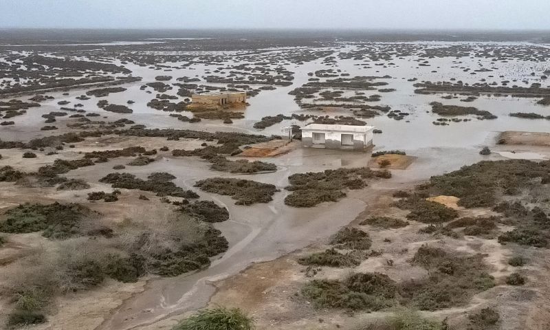 Delta