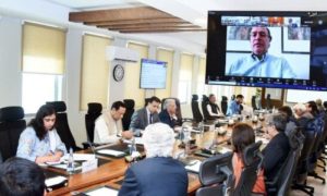 Pakistan, ECC, EV Subsidy, SBP, National Electric Vehicle (NEV) Policy,