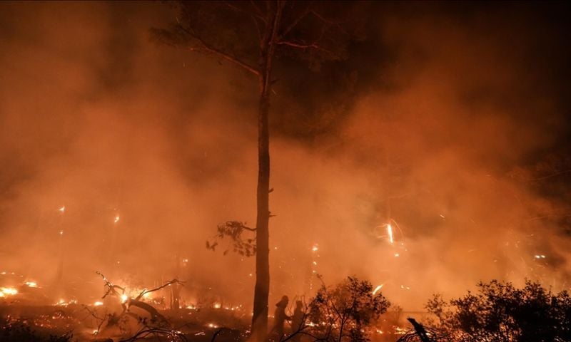 Firefighters