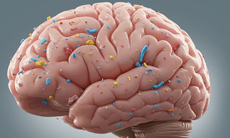 Microplastics