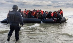 Migrant