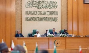 OIC, Gaza, Israel, Palestinian, CFM, Greater Israel,