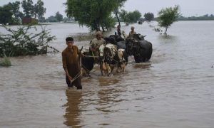 Pakistan on Alert After India Releases 800,000 Cusecs into Chenab River