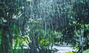 Pakistan Met Office