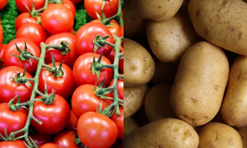 Potato, Tomato, Ancestors, Vegetables, Agriculture, Study, Researchers,