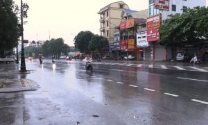 Rain