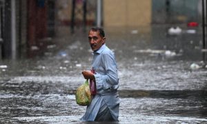Rains