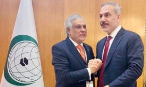 Pakistan, OIC, Türkiye, Famine, Gaza, Palestine, Africa,