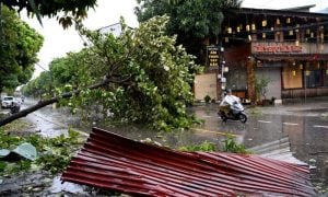 Typhoon