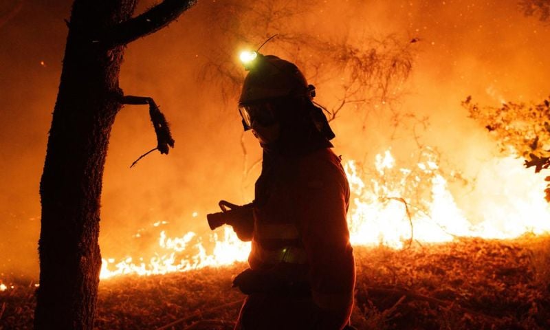 Wildfires