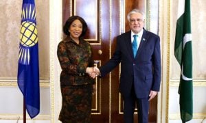 Pakistan, Deputy Prime Minister, Commonwealth, Youth Task Force,