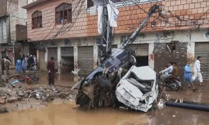 Pakistan, Flood, Khyber Pakhtunkhwa, Buner, Bajaur, Flood Emergency, 911 Helpline