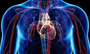 Cardiovascular Disease
