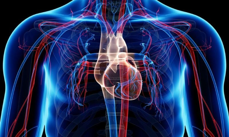 Cardiovascular Disease