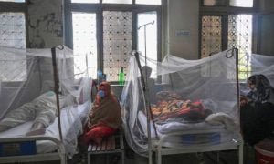 Pakistan, Dengue, WHO, Islamabad