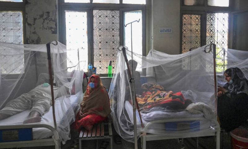 Pakistan, Dengue, WHO, Islamabad