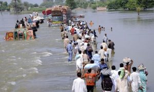 Flood