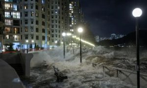 Typhoon