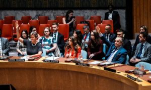 UN Security Council