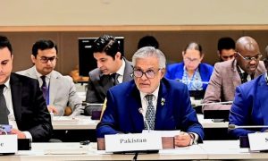 Pakistan, Palestine, Gaza, UN, Security Council, Al-Quds, OIC, Israel,