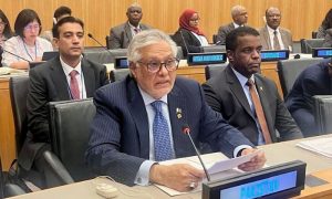Pakistan, Deputy Prime Minister, Ishaq Dar, UN General Assembly, China, G77, Global South