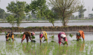 Climate Challenges