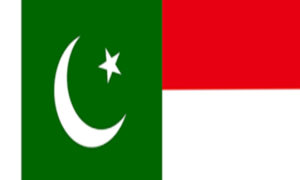 Pak-Indonesia FTA Cannot Be Ruled Out