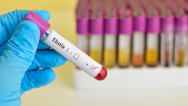 WHO Says Ebola Trial Vaccines Heading to Uganda