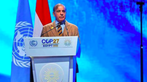 COP27: Pakistan Calls for Early Operationalization of Climate