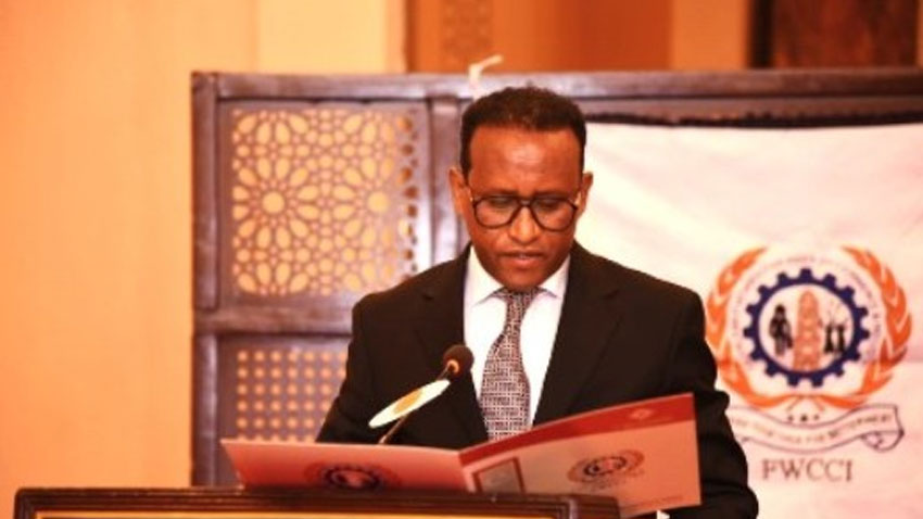 Ethiopia Set to Invite Pakistan Business Delegation in 2023: Envoy