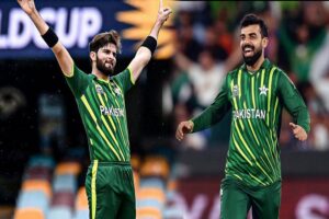 shaheen and shahdab