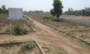 Housing Societies on Agriculture Lands Endangering Pakistan's Food Security