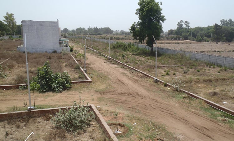 Housing Societies on Agriculture Lands Endangering Pakistan's Food Security