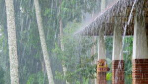 rains
