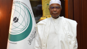 OIC Calls for Sufficient Services to PWDs