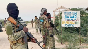Somalia Army Destroys Secret Militias: Officials