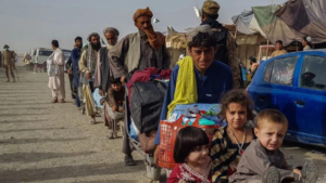 Afghan Immigrants