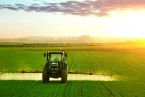 Food Security