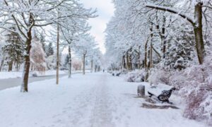 snowfall