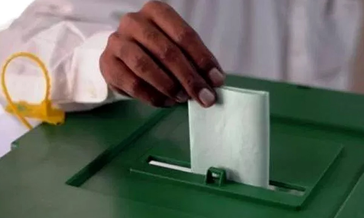 MQM-P