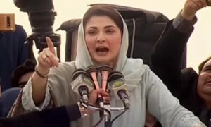 PML-N