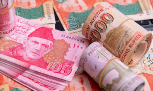 Pakistani Rupee