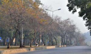 Weather