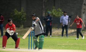Cricket