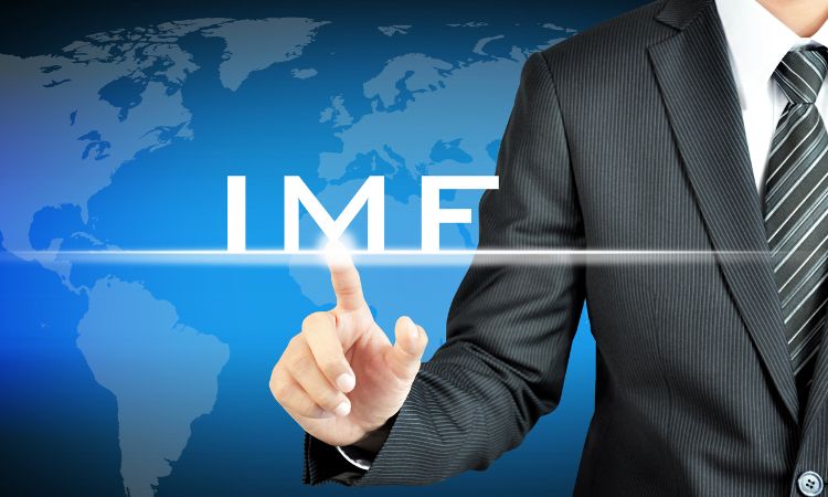 IMF Program Costs 101 Billion to Pakistan in 4 Years Dr Ashfaq Hassan Khan
